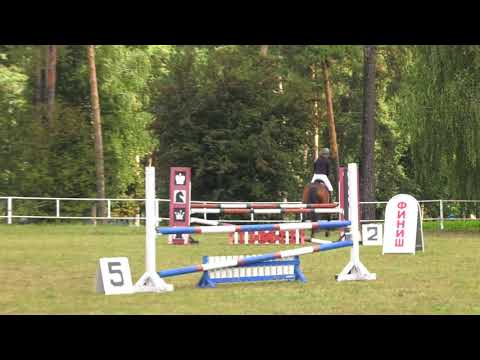 Адкрытае абласное першынство па конным спорце видео