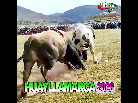 HUAYLLAMARCA 2026  T3-Encuentro Estelar "Chinchay-Katati".#shortsviral  #almaproduccionesbolivia