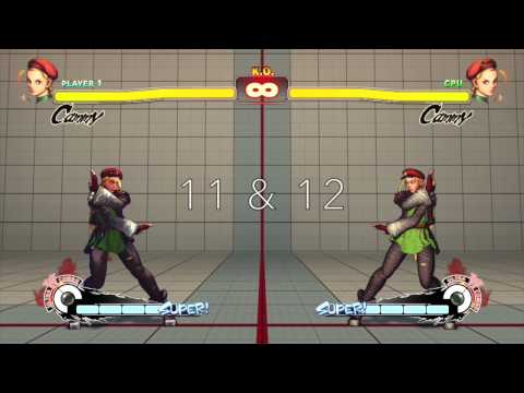 USFIV - Cammy's Summer Vacation Costume: All Colors (Numbered)