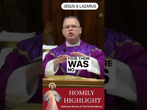 Why did Jesus raise Lazarus from the dead after 3 days? #homilyhighlight #frchrisalar