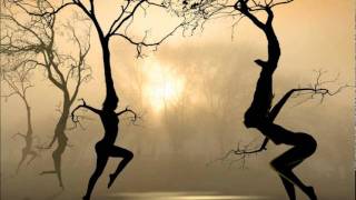 Klaus Schulze  - The Wisdom Of The Leaves