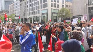 Free Palestina,Frankfurt,12.07.2014