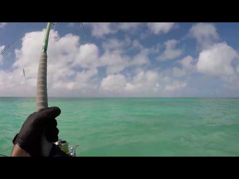 Kiritimati 2017 GT fishing