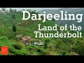 What Is Darjeeling Tea How To Make It And A Journey Through The Himalayas In Pursuit Of Tea