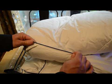 download lagu mp3 mp4 European Feather Bed, download lagu European Feather Bed gratis, unduh video klip European Feather Bed
