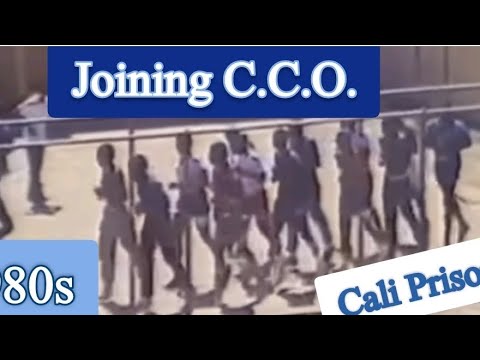 How To Join CCO In Cali Prisons In The 1980s