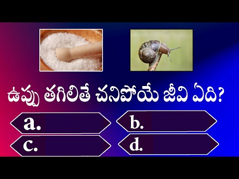 #telugu interesting questions and answers 