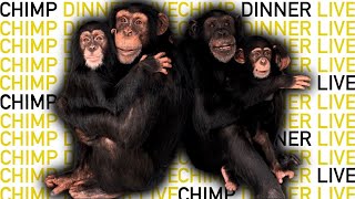 The NEW Chimp Dinner LIVE! 04.10.22