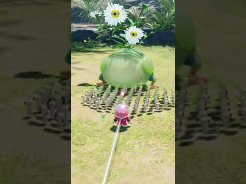 シラユキアゲハ、びっくり菊の白ピクミン捕食シーン【ピクミン4 PIKMIN4】 #pikmin4 #pikmin #ピクミン
