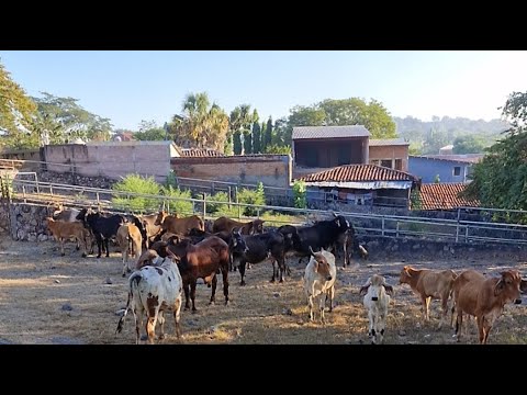 sábado 06 de diciembre 2025, tiangue de Santa Rosa de Lima, La Unión Norte, El Salvador