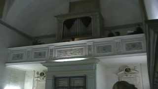 preview picture of video 'Messa da Requiem di Lorenzo Perosi - Oratorio della Morte - Urbino'