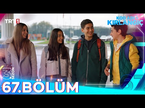 Kod Adı Kırlangıç and TRT 1