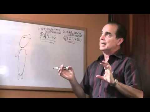 Episodio #228 El Cáncer Y El Metabolismo