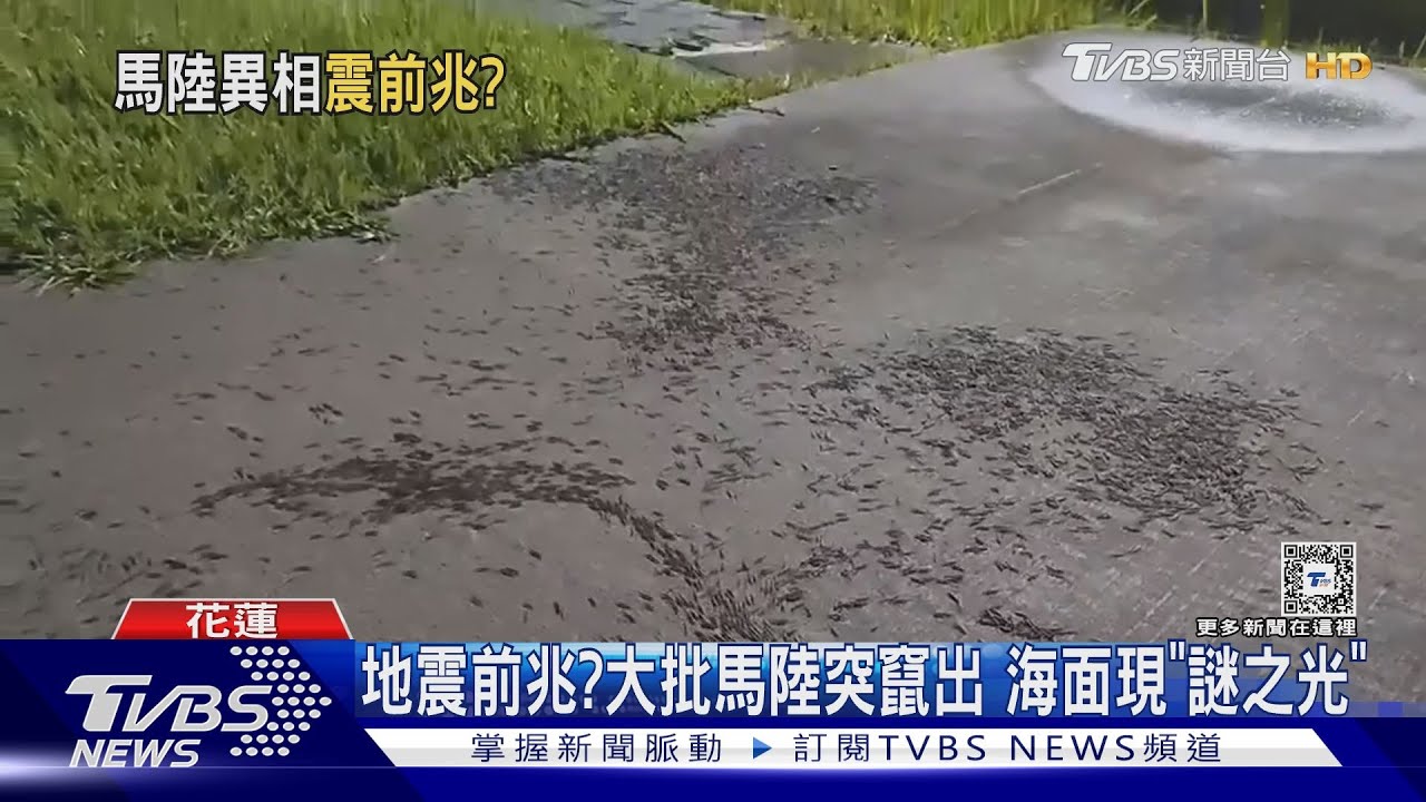 地震前兆？驚現馬陸、謎之光　「鏡頭君」這幕好敬業