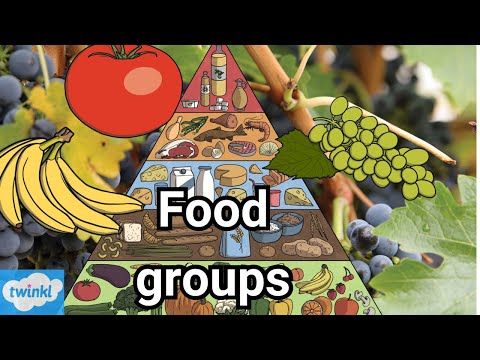 Food groups explained for kids! | Educational videos for kids