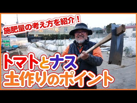 ナス・カロリネンス