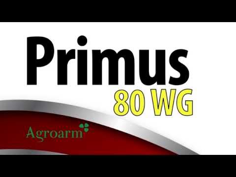 PRIMUS 80 WG