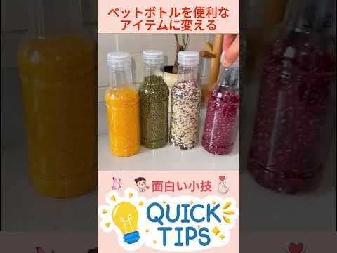 苗木用の小さな温室を作るにはどうすればよいですか？自宅で簡単に再現できるリサイクルアイデア4選！  庭園