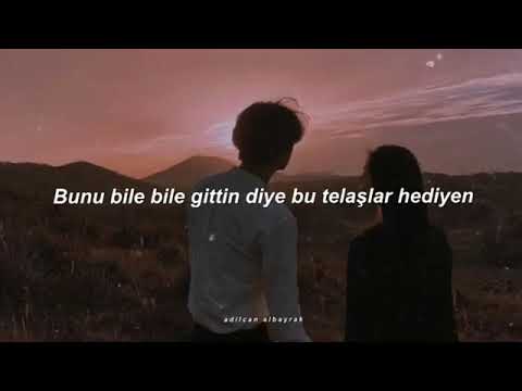 Aşk Şarkısı - Şanışer ama sadece Ayda kısmı