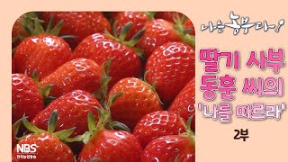 [나는농부다 299회 2부] 딸기 사부 동훈 씨의 '나를 따르라'
