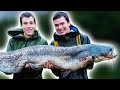 Fishing For GIANT Catfish River Monsters