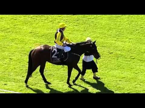 Ascot, 23/04/2016 - Race 2 - AIRLIE SUN - Jarrad Noske & Lou Luciani