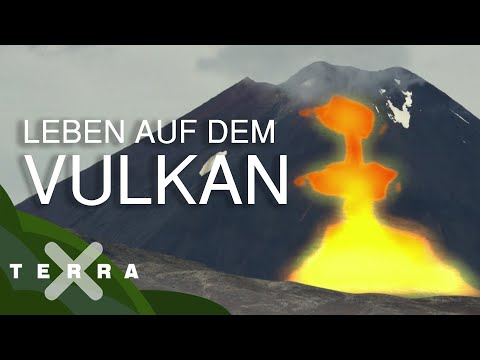 Hawaii – darum sind die Trauminseln dem Tod geweiht