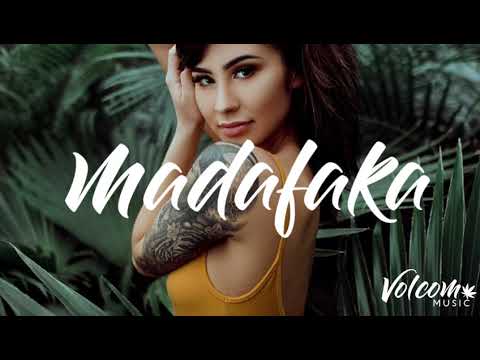 Taku Vaine - (Raiguetss x Vilone x Hono)