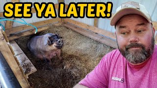 24 HOURS After The ATTACK - I Took Action!