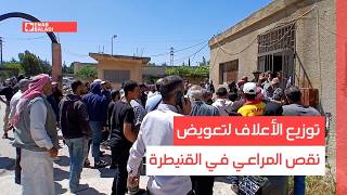 توزيع الأعلاف لتعويض نقص المراعي في القنيطرة