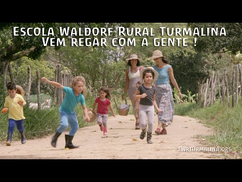 download lagu mp3 mp4 Regar Com, download lagu Regar Com gratis, unduh video klip Regar Com