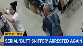 Repeat Offender Arrested Again – Full Breakdown & Transcript