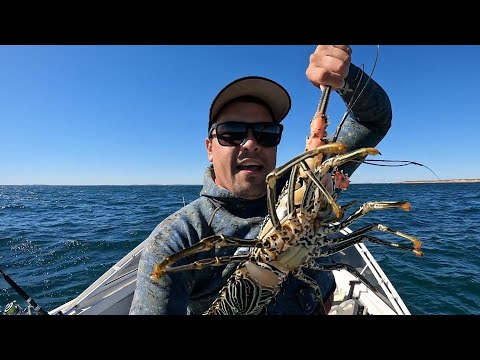 CRAYFISH OMELETTE CATCH & COOK   Loose Line Industries EP8