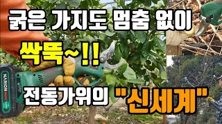(이벤트)전동전지가위 비교불가 신세계 쇠도자르는괴물 싹다자른다 #나리온전동가위