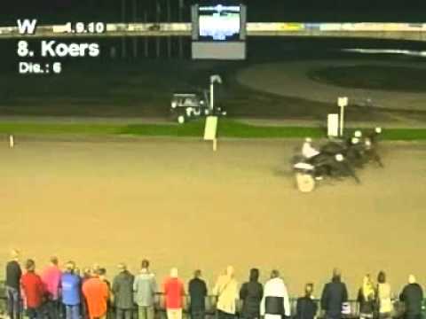 Kampioenschap der Vierjarigen (2e Halve Finale) - Zorba Oldeson