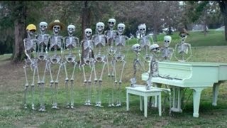 NEW TRACK: MGMT - &quot;Your Life Is A Lie&quot;