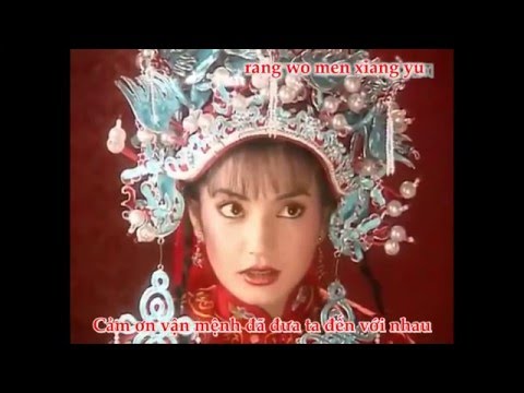 Từ khi có chàng (Hoàn Châu Cách Cách OST) - Triệu Vy ( Vietsub + Kara )