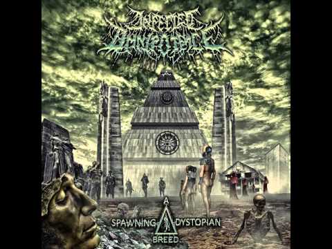 Infected Omnipotence - Illumination Through Insertion