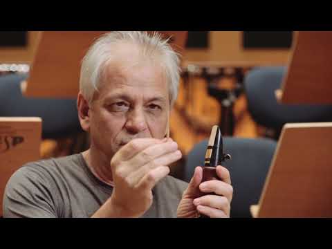 Instrumentos de Orquestra - Clarinete | Sérgio Burgani
