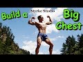 Insane Muscle Model Brad Jordan Chest Workout Styrke Studio