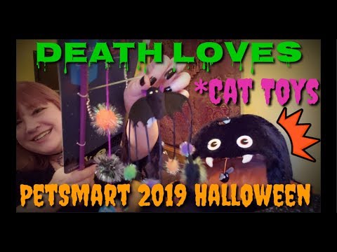 2019 Pet Smart Halloween Cat Toy Haul