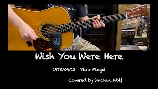 Video thumbnail for Wish You Were Here - Song & Guitar Cover with Martin D-35 David Gilmour Signature Guitar by Wah Guitar Shop