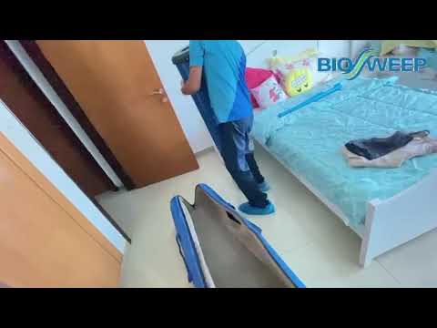 Mold Remediation