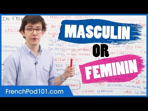 Gender of French Words: Masculin vs Feminin