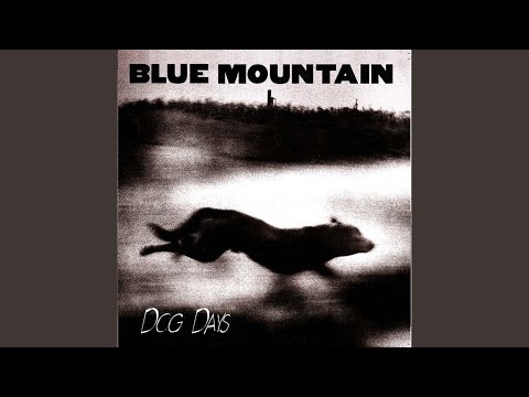 Wink - Blue Mountain