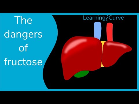 How bad is fructose?