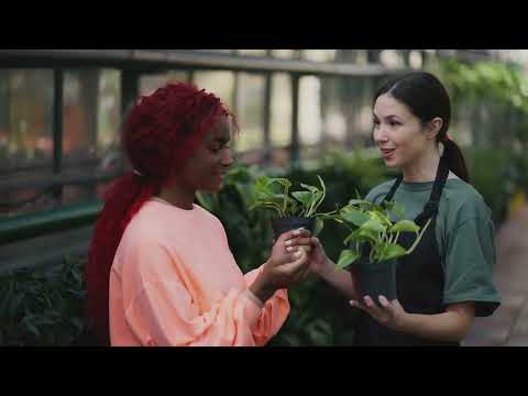 Unlock the secrets to a thriving vegetable garden with 