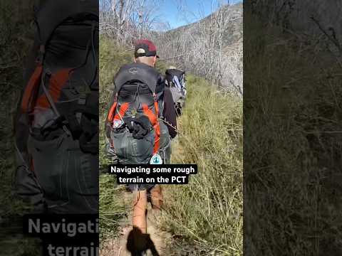 Bushwhacking on the Pacific Crest Trail