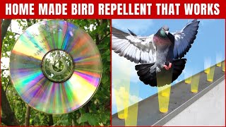 Homemade Bird Repellents to Keep Birds Away (That Works 100%) - Top Repellents