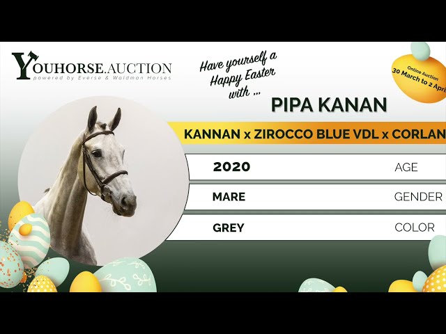 Pipa Kanan